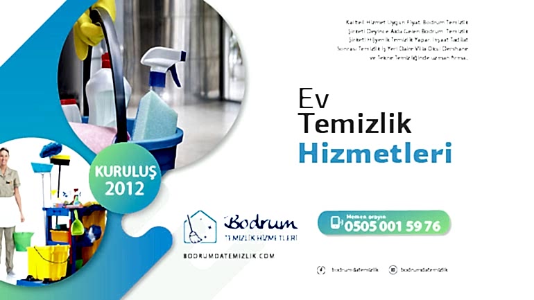 Ev Temizliği